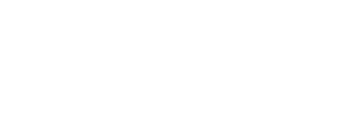 LIVO EPMS logo -- brand mark with rounded squares on the left and bold text on the right